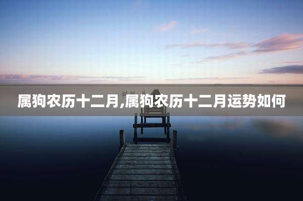 属狗农历十二月,属狗农历十二月运势如何