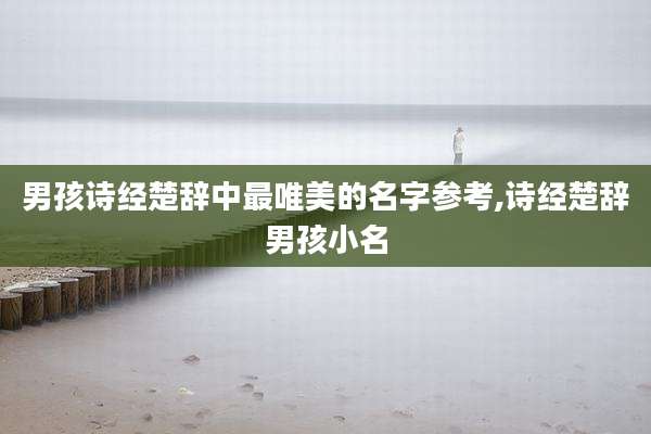 男孩诗经楚辞中最唯美的名字参考,诗经楚辞男孩小名