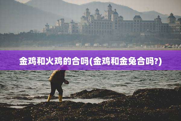 金鸡和火鸡的合吗(金鸡和金兔合吗?)