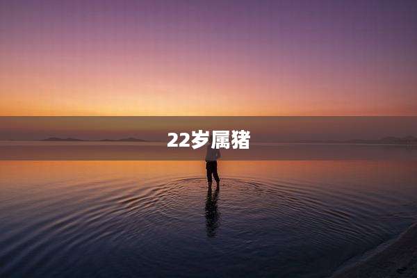 22岁属猪