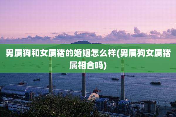 男属狗和女属猪的婚姻怎么样(男属狗女属猪属相合吗)