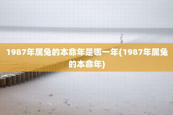 1987年属兔的本命年是哪一年(1987年属兔的本命年)