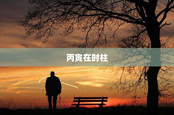 丙寅在时柱