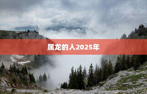 属龙的人2025年