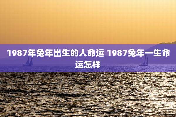 1987年兔年出生的人命运 1987兔年一生命运怎样