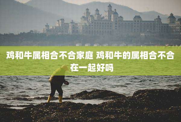 鸡和牛属相合不合家庭 鸡和牛的属相合不合 在一起好吗