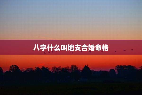 八字什么叫地支合婚命格