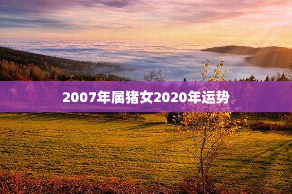 2007年属猪女2020年运势