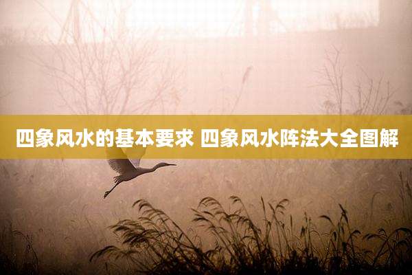 四象风水的基本要求 四象风水阵法大全图解