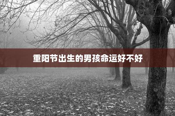 重阳节出生的男孩命运好不好