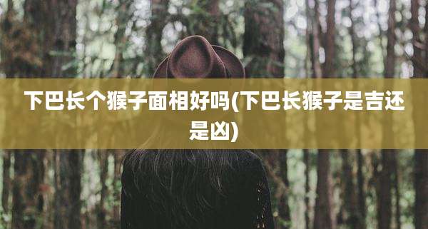下巴长个猴子面相好吗(下巴长猴子是吉还是凶)