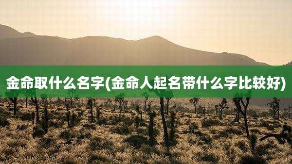金命取什么名字(金命人起名带什么字比较好)