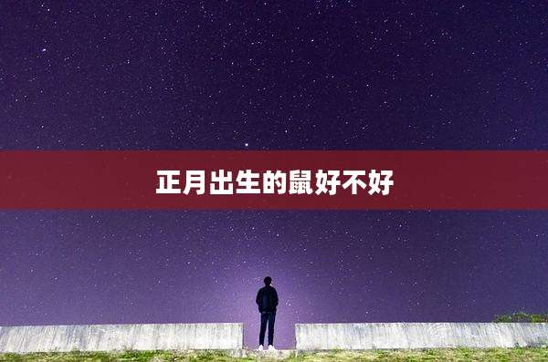 正月出生的鼠好不好