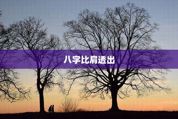 八字比肩透出