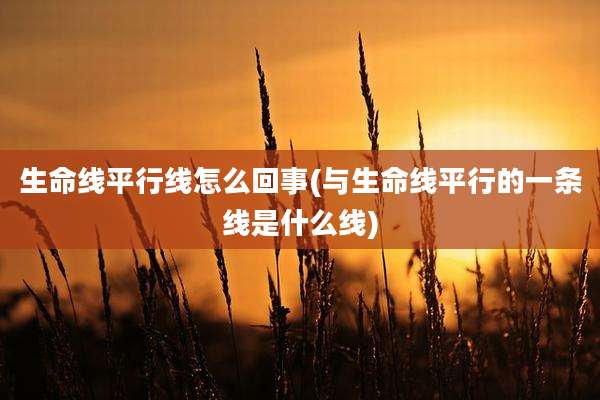 生命线平行线怎么回事(与生命线平行的一条线是什么线)