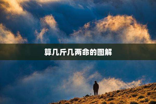 算几斤几两命的图解