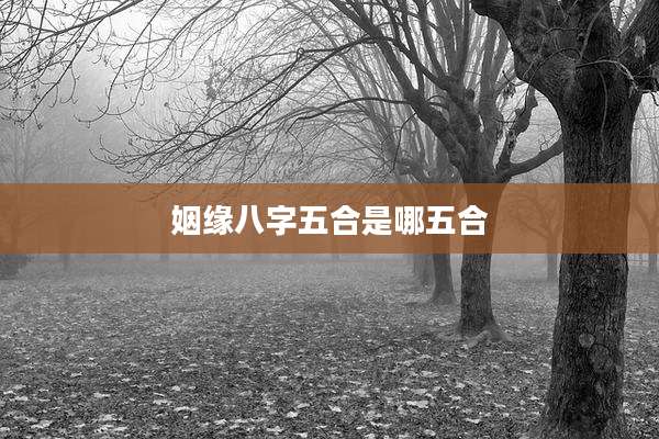 姻缘八字五合是哪五合