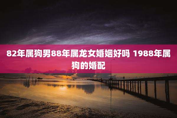 82年属狗男88年属龙女婚姻好吗 1988年属狗的婚配