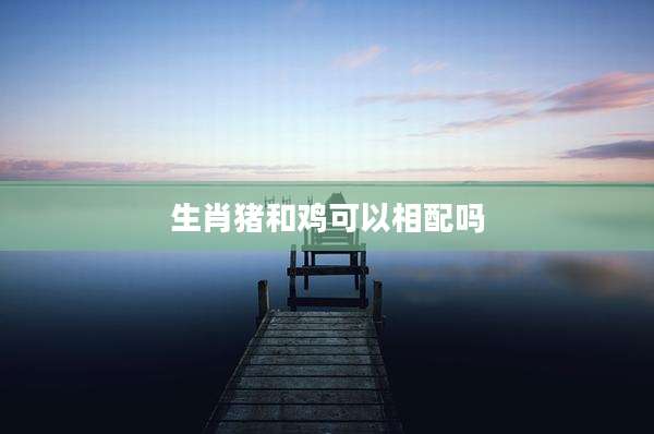 生肖猪和鸡可以相配吗