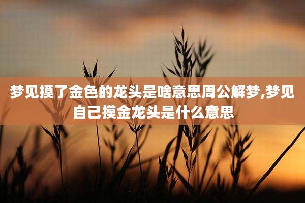 梦见摸了金色的龙头是啥意思周公解梦,梦见自己摸金龙头是什么意思
