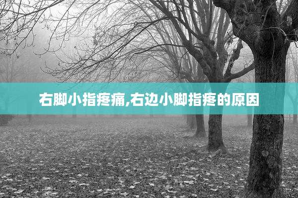 右脚小指疼痛,右边小脚指疼的原因