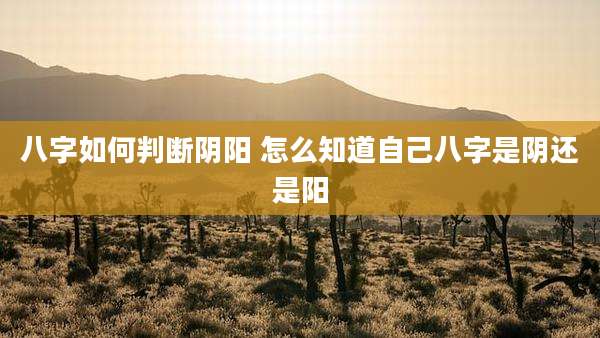 八字如何判断阴阳 怎么知道自己八字是阴还是阳