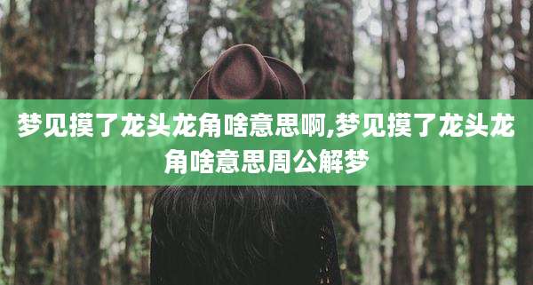 梦见摸了龙头龙角啥意思啊,梦见摸了龙头龙角啥意思周公解梦