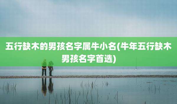五行缺木的男孩名字属牛小名(牛年五行缺木男孩名字首选)
