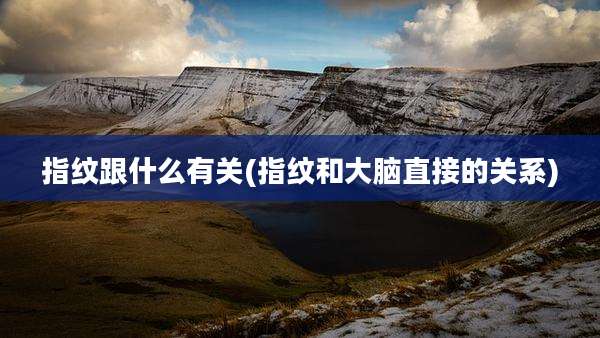 指纹跟什么有关(指纹和大脑直接的关系)