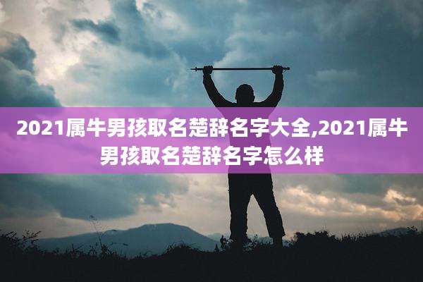 2021属牛男孩取名楚辞名字大全,2021属牛男孩取名楚辞名字怎么样