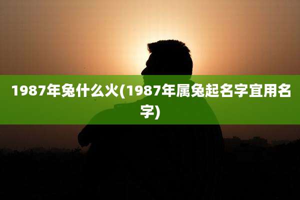 1987年兔什么火(1987年属兔起名字宜用名字)