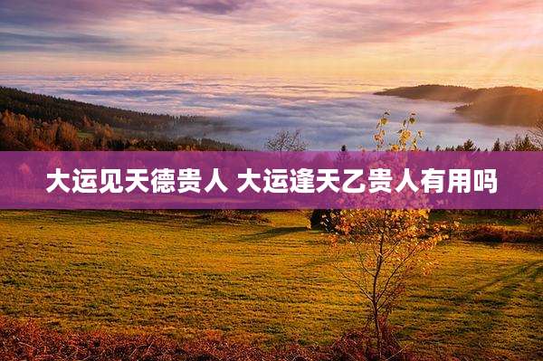 大运见天德贵人 大运逢天乙贵人有用吗