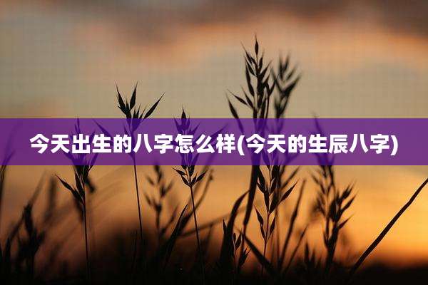 今天出生的八字怎么样(今天的生辰八字)