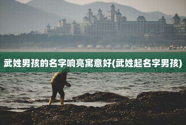 武姓男孩的名字响亮寓意好(武姓起名字男孩)