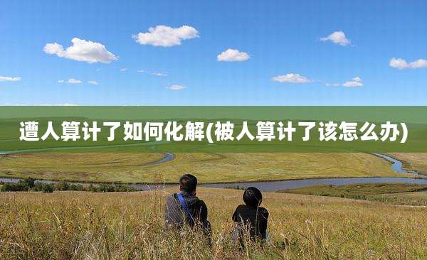 遭人算计了如何化解(被人算计了该怎么办)