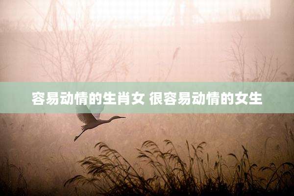容易动情的生肖女 很容易动情的女生