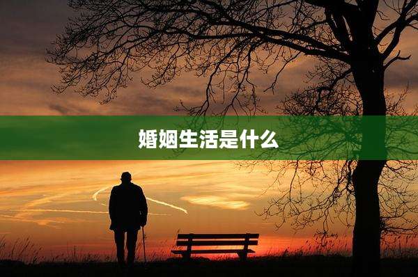 婚姻生活是什么