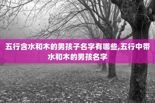五行含水和木的男孩子名字有哪些,五行中带水和木的男孩名字