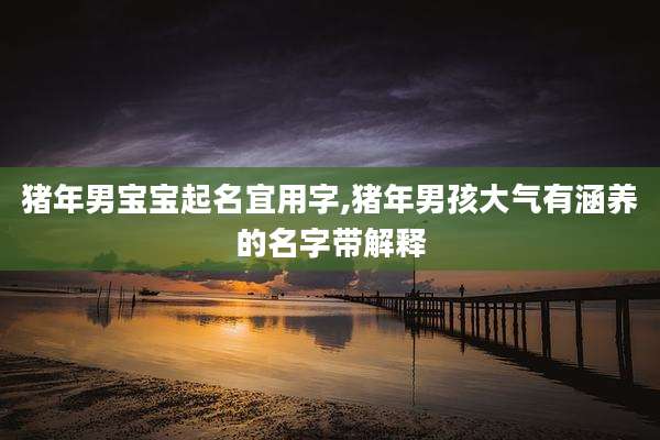 猪年男宝宝起名宜用字,猪年男孩大气有涵养的名字带解释