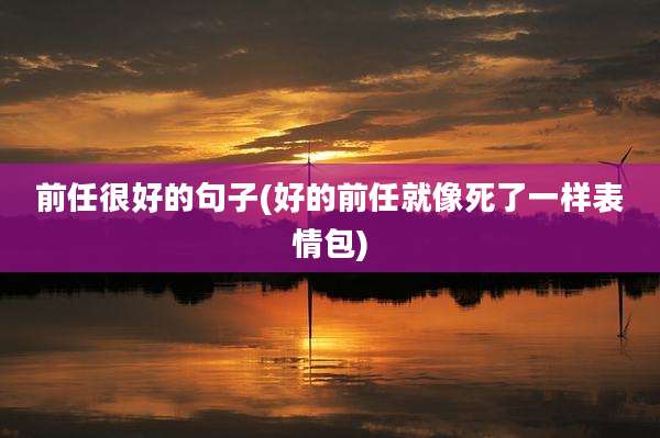 前任很好的句子(好的前任就像死了一样表情包)