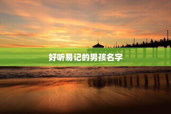 好听易记的男孩名字