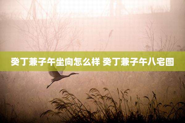 癸丁兼子午坐向怎么样 癸丁兼子午八宅图