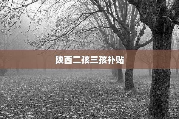 陕西二孩三孩补贴