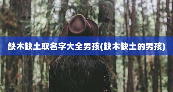 缺木缺土取名字大全男孩(缺木缺土的男孩)