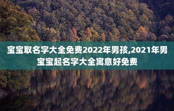 宝宝取名字大全免费2022年男孩,2021年男宝宝起名字大全寓意好免费