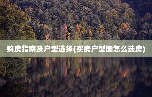 购房指南及户型选择(买房户型图怎么选房)
