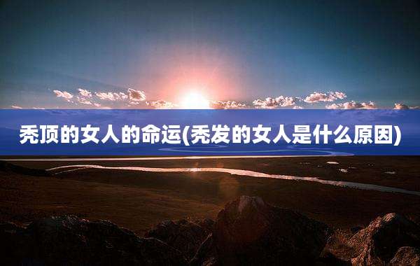 秃顶的女人的命运(秃发的女人是什么原因)