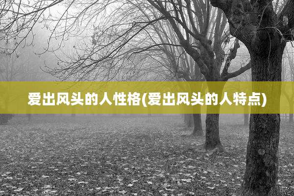 爱出风头的人性格(爱出风头的人特点)
