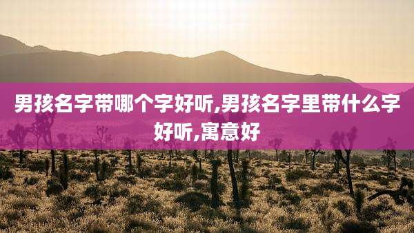 男孩名字带哪个字好听,男孩名字里带什么字好听,寓意好