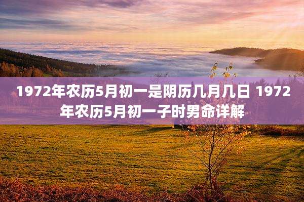 1972年农历5月初一是阴历几月几日 1972年农历5月初一子时男命详解